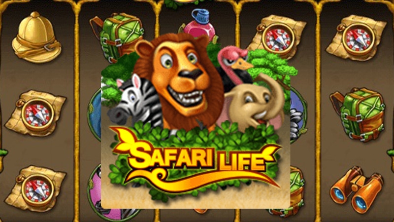 safari life